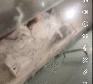 Maan Dogar Xxx Video  (FULL VIDEO 18+) Maan Dogar Xxx Video (FULL VIDEO 18+)